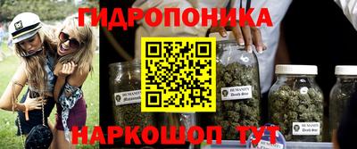 винт Аша
